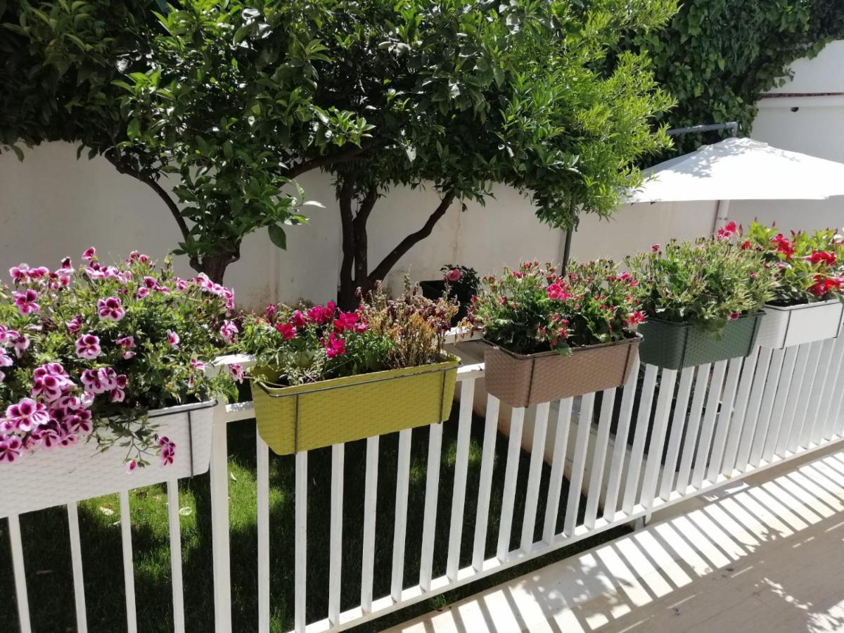 Villa Mondello Beach The House With Green Lawns Exterior foto